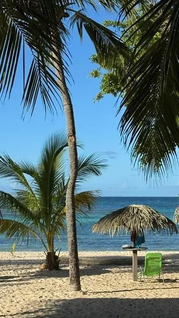 Ti-Wahou - Sea View Studio - Anse Des Rochers Saint-François 0*,